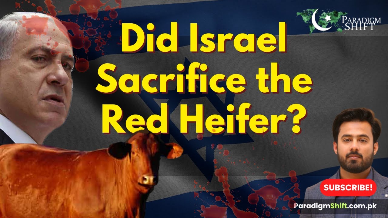 Israel Practices Red Heifer Ritual