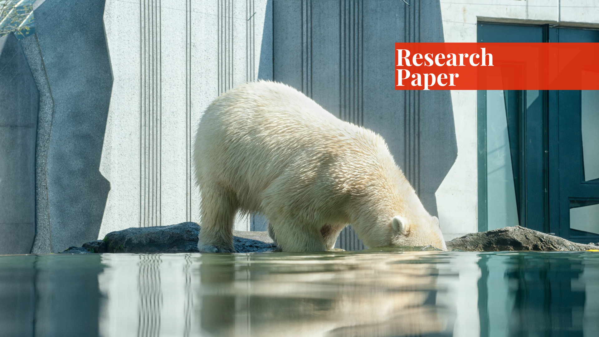 climate change globally