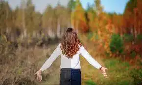 Saudi vision governance model