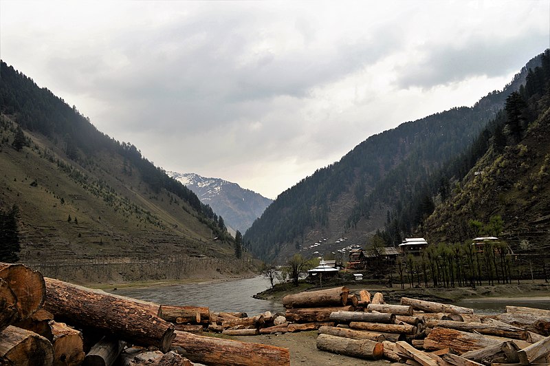 Illegal deforestration in Kashmir
