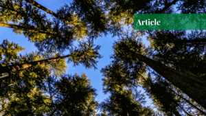 Climate Change of Pakistan