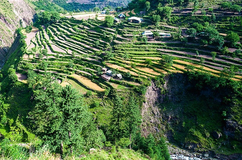 Agricultural terraces in Pakistan