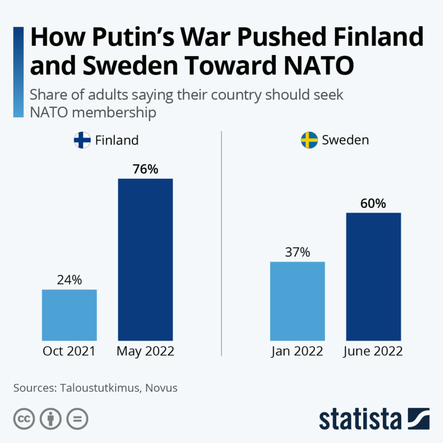 Finland and Sweden seek NATO membership