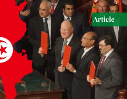 Tunisia's President - new constitution