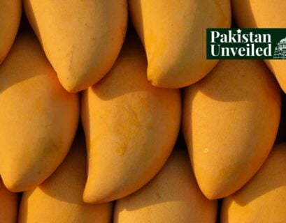 Pakistan National Fruit