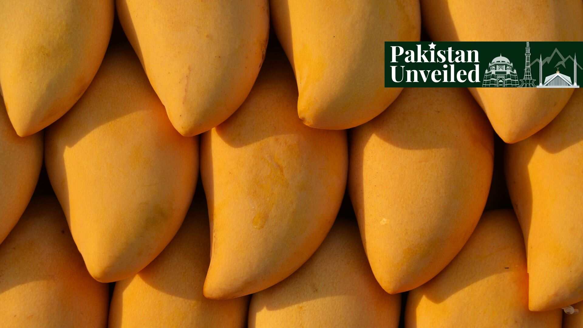 Pakistan National Fruit