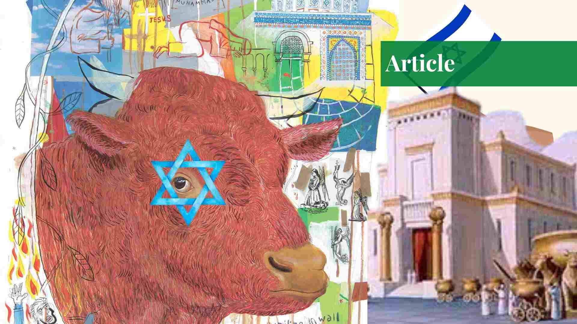 Red Heifer and the Third Temple in Israel