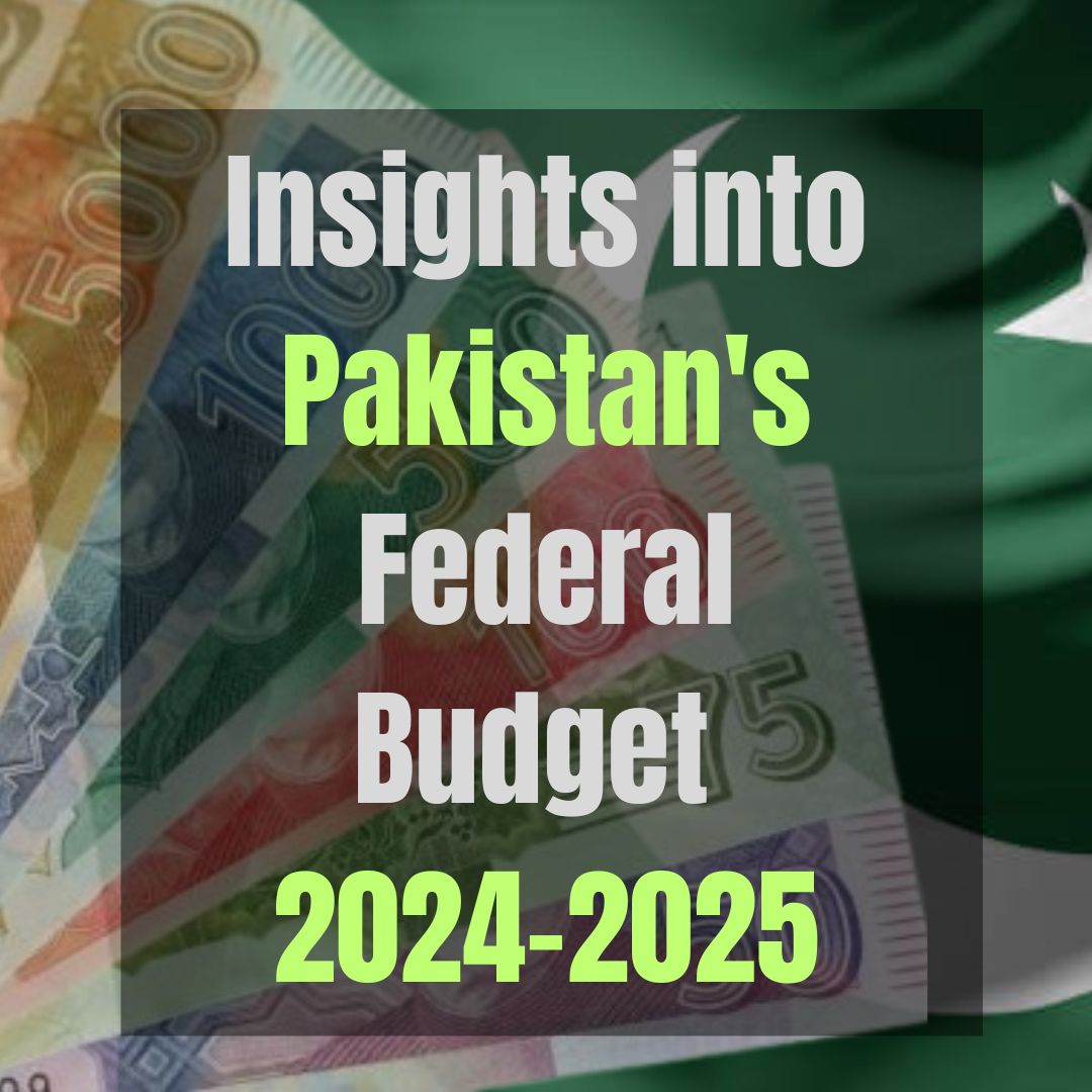 Part of an infographic showcasing insights into Pakistan's federal budget 2024-2025. 