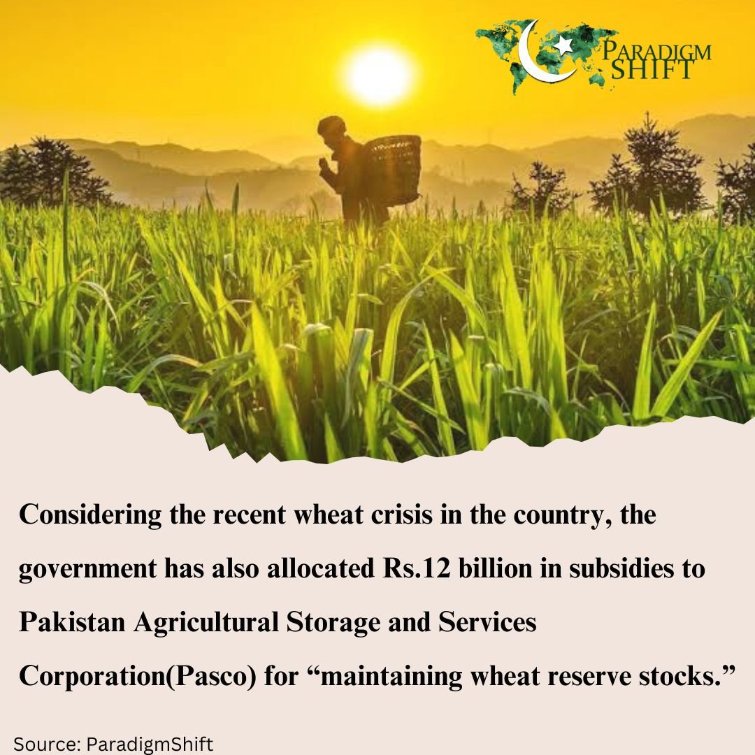 Infographic on Pakistan's Federal Budget, showing how the government has allocated Rs. 12 billion in subsidies for maintaining reserve agricultural stocks. 