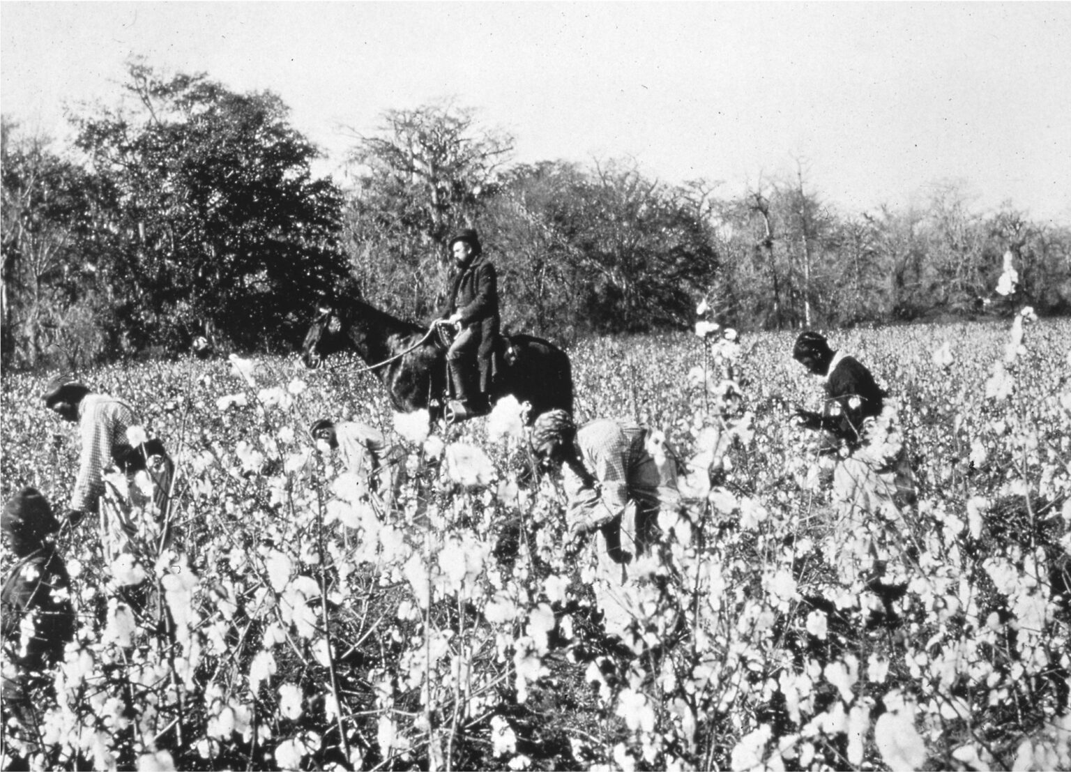 Causes, Battles, & Effects of the American Civil War (1861–1865)
