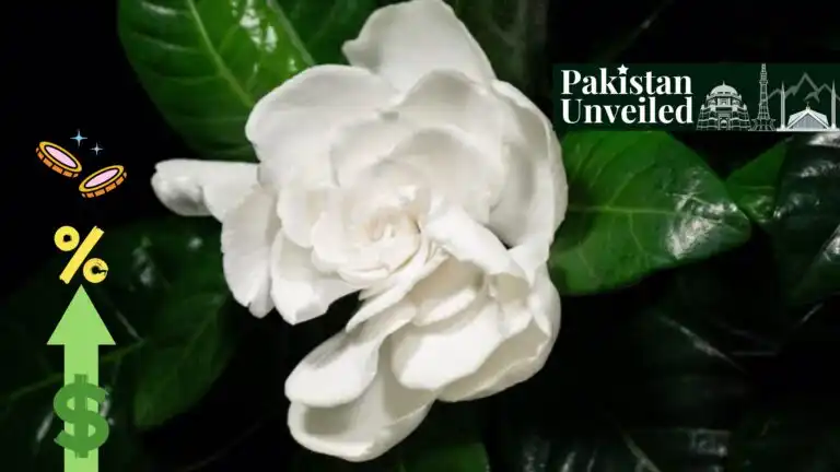 pakistan national flower