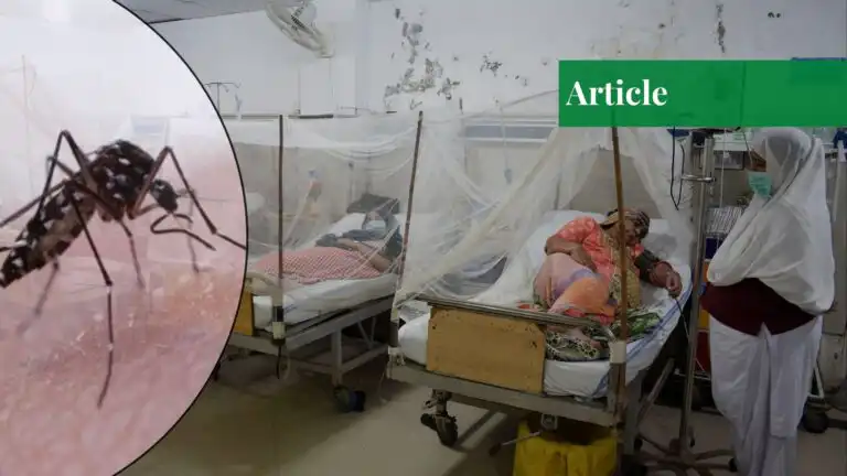 dengue in pakistan