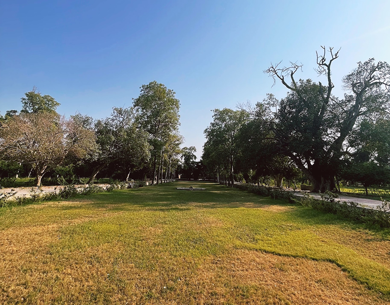 Lawn of the Faiz Mahal