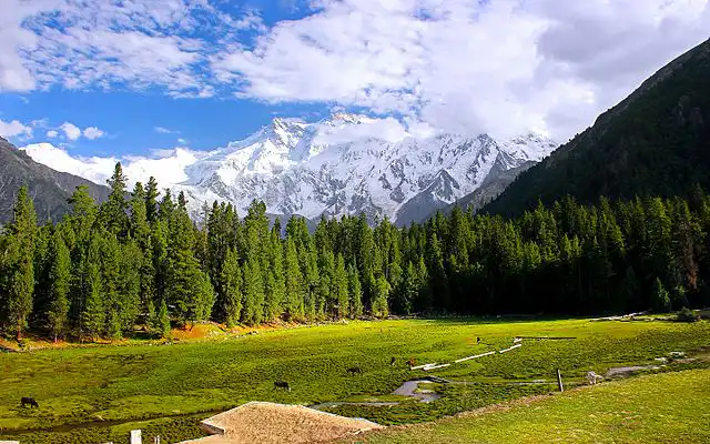 fairy meadows | pakistan tour