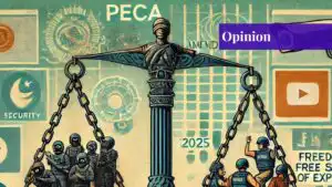 peca amendment 2025