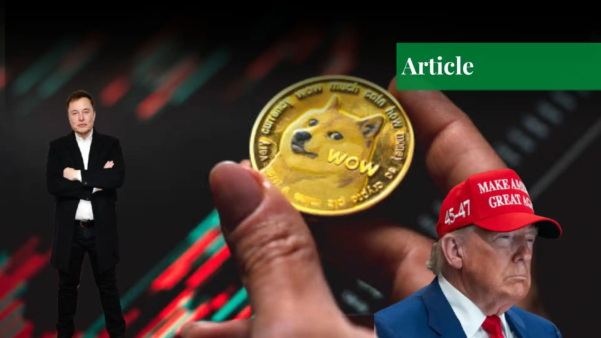 A Timeline of the Donald Trump and Elon Musk Fallout - Paradigm Shift