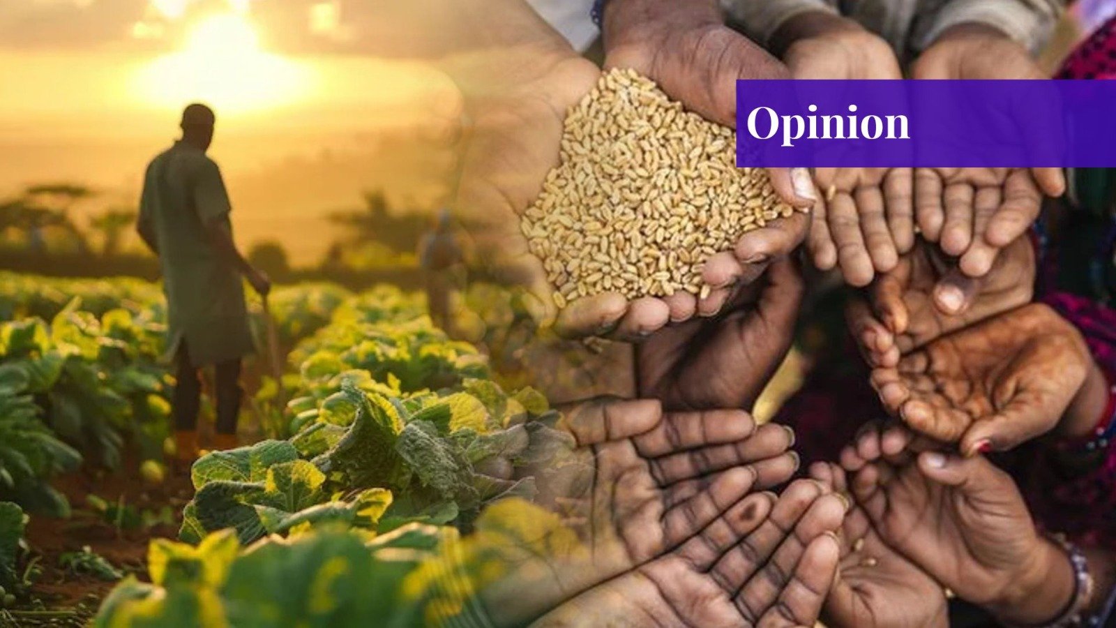 ministry of national food security