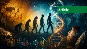 a featured image for an article that talks about how human evolution took place
