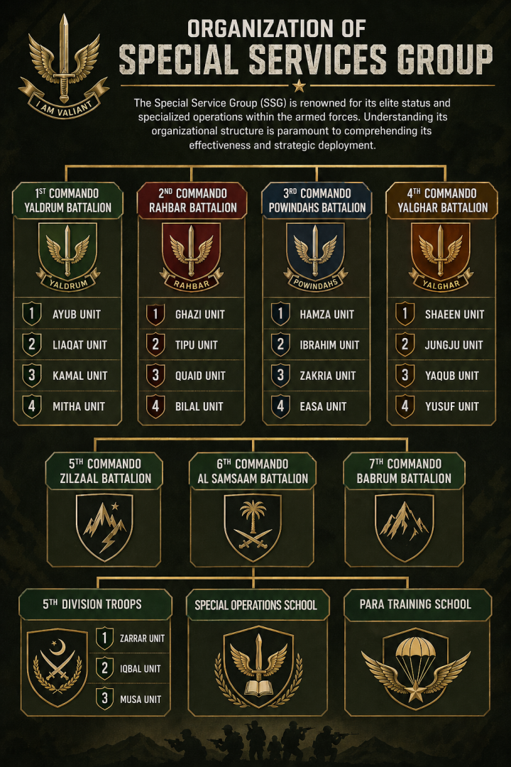 organization of the SSG pakistan