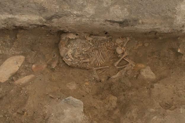 the 8,000-year-old Çatalhöyuk, located in modern Türkiye