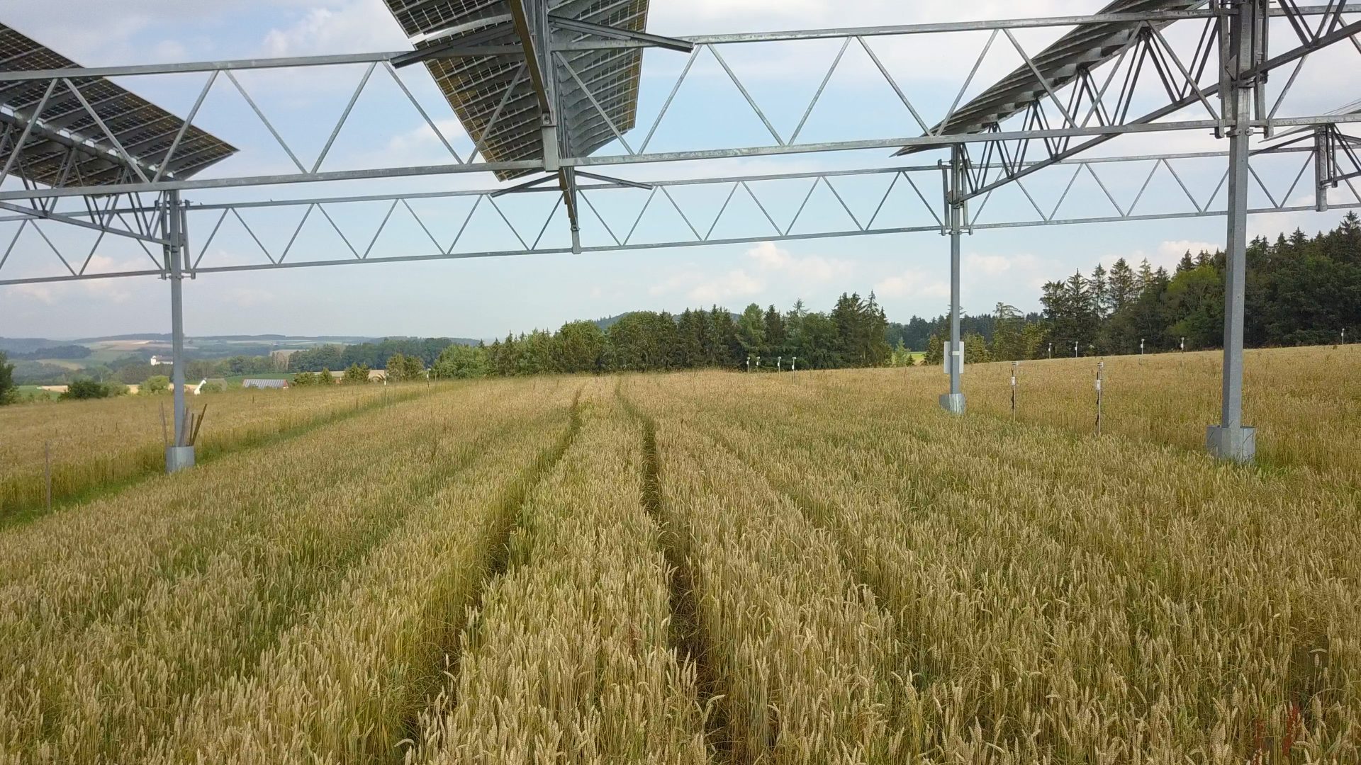 Agrivoltaics pilot plant in Germany