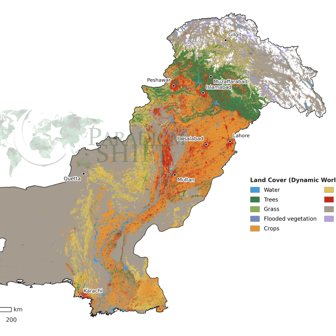 Pakistan Physical Map - Land Cover & Vegetation - Paradigm Shift