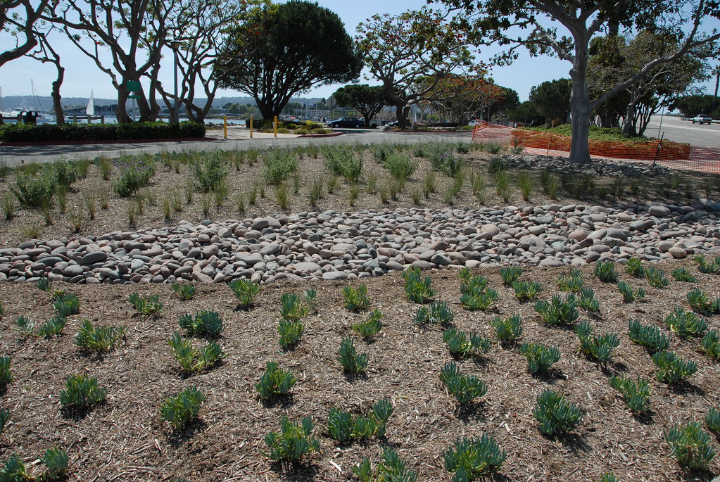 Green Port Program: Composting & Water Wise Plants