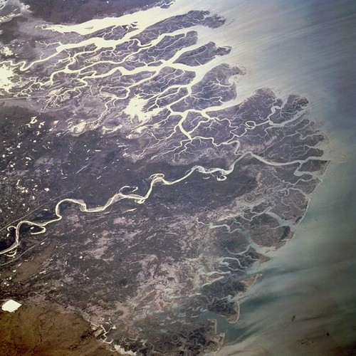 indus river delta