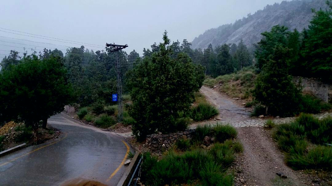 Ziarat Juniper Forest, Balochistan, Pakistan