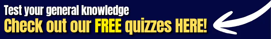 Banner for CSS MCQs.
