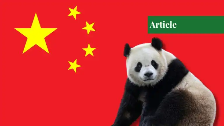 Panda diplomacy
