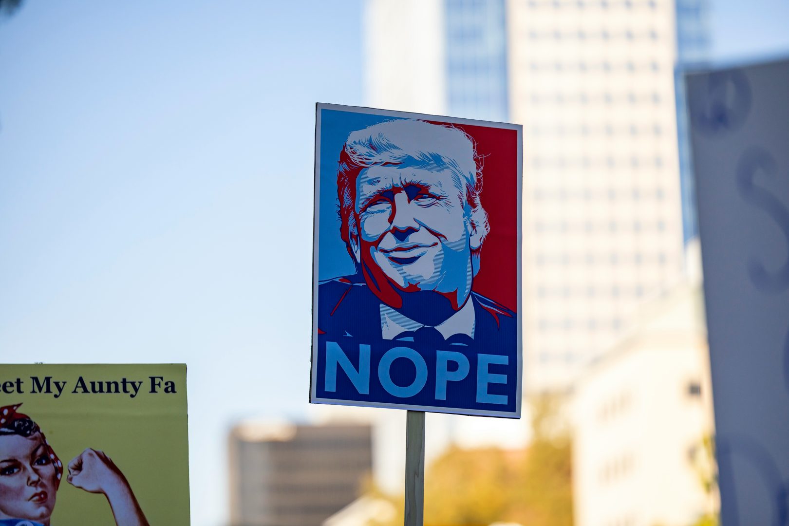 Trump Protest Sign