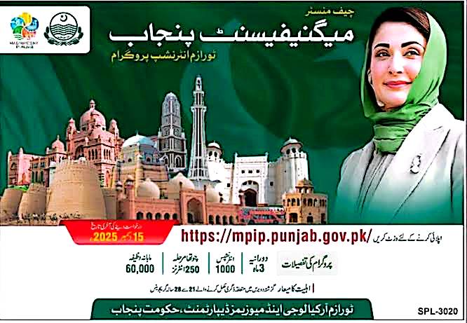 Magnification Punjab Paid Internship Program 2025